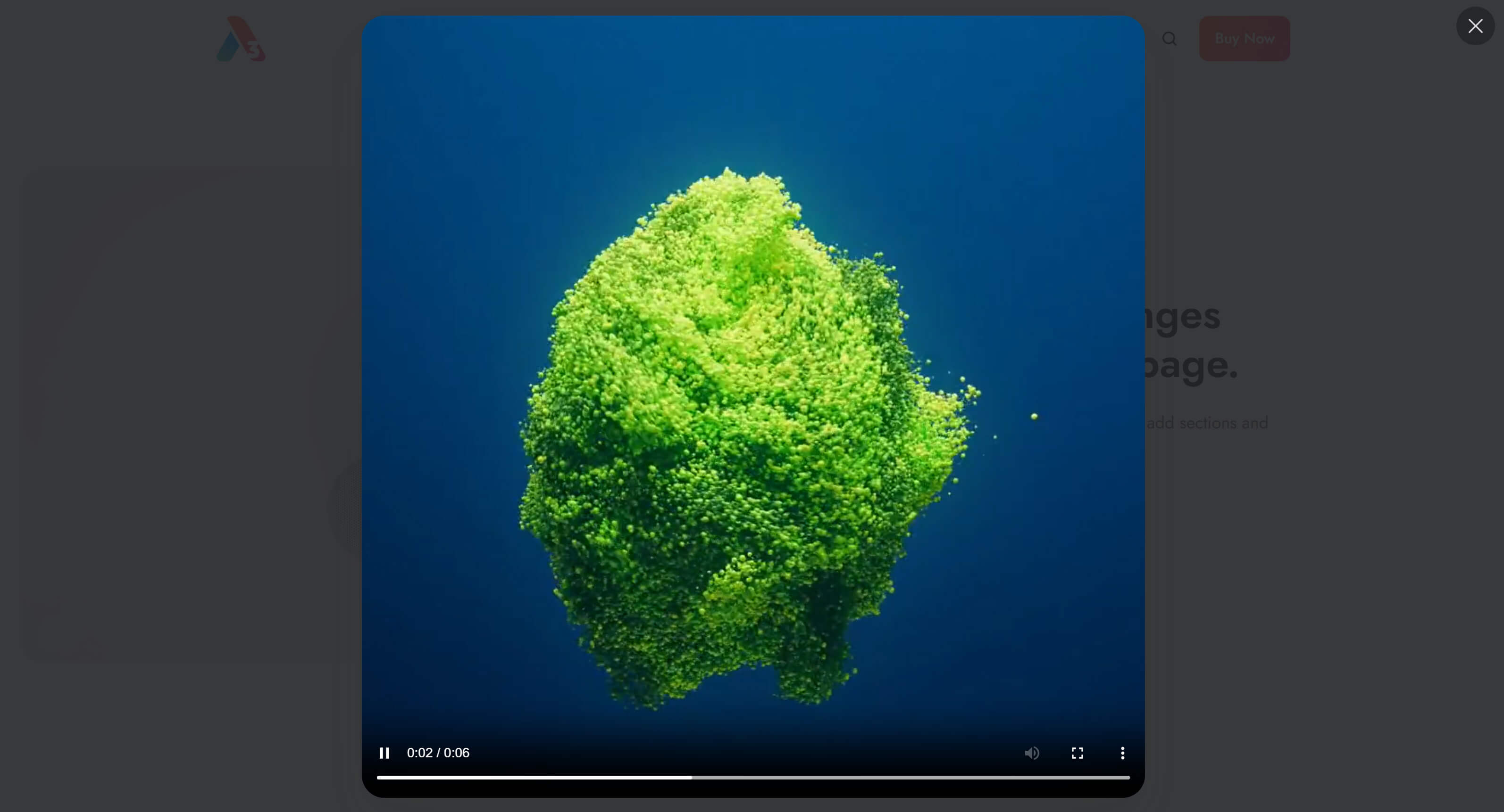 Act3 Lightbox Link To Mp4 Preview